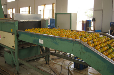 自動(dòng)分揀機(jī)