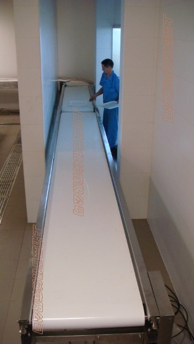 自動(dòng)化包裝流水線在食品行業(yè)中運(yùn)用的優(yōu)勢(shì)